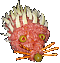:mettigel: